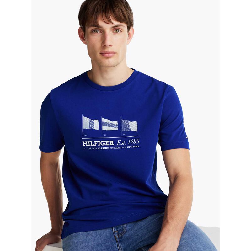Tommy Hilfiger Hilfiger Flags Tee image number 2